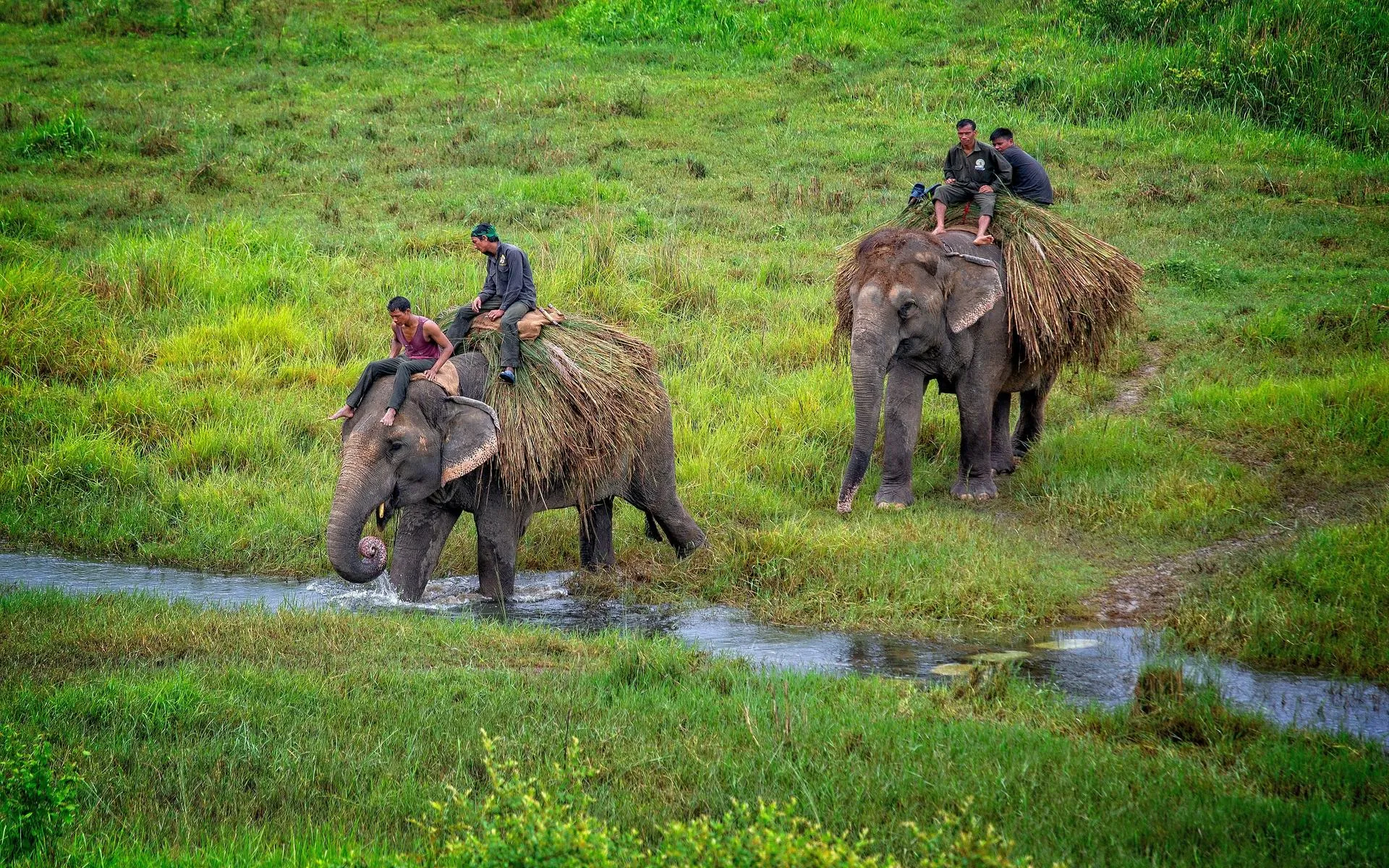 Image for Tour: KATHMANDU-POKHARA-CHITWAN-KATHMANDU