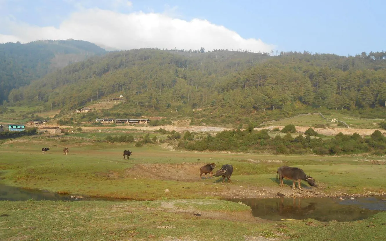 Image for Tour: DHORPATAN HUNTING RESERVE and SHEY PHOKSUNDO LAKE