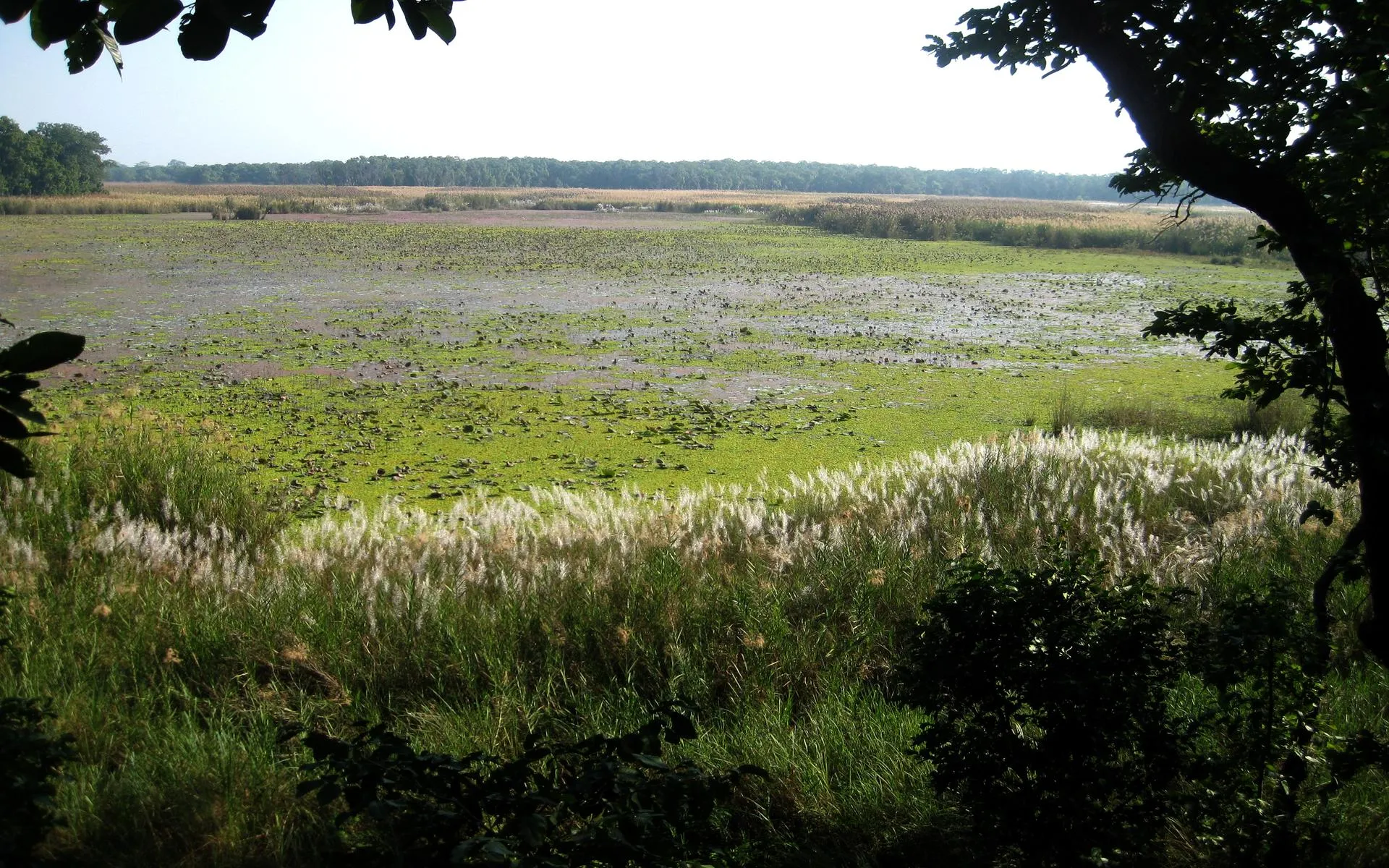 Image for Tour: SHUKLAPHATA NATIONAL PARK