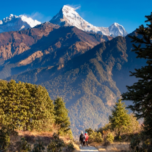 Image for Trek: Annapurna Sanctuary with Poon Hill